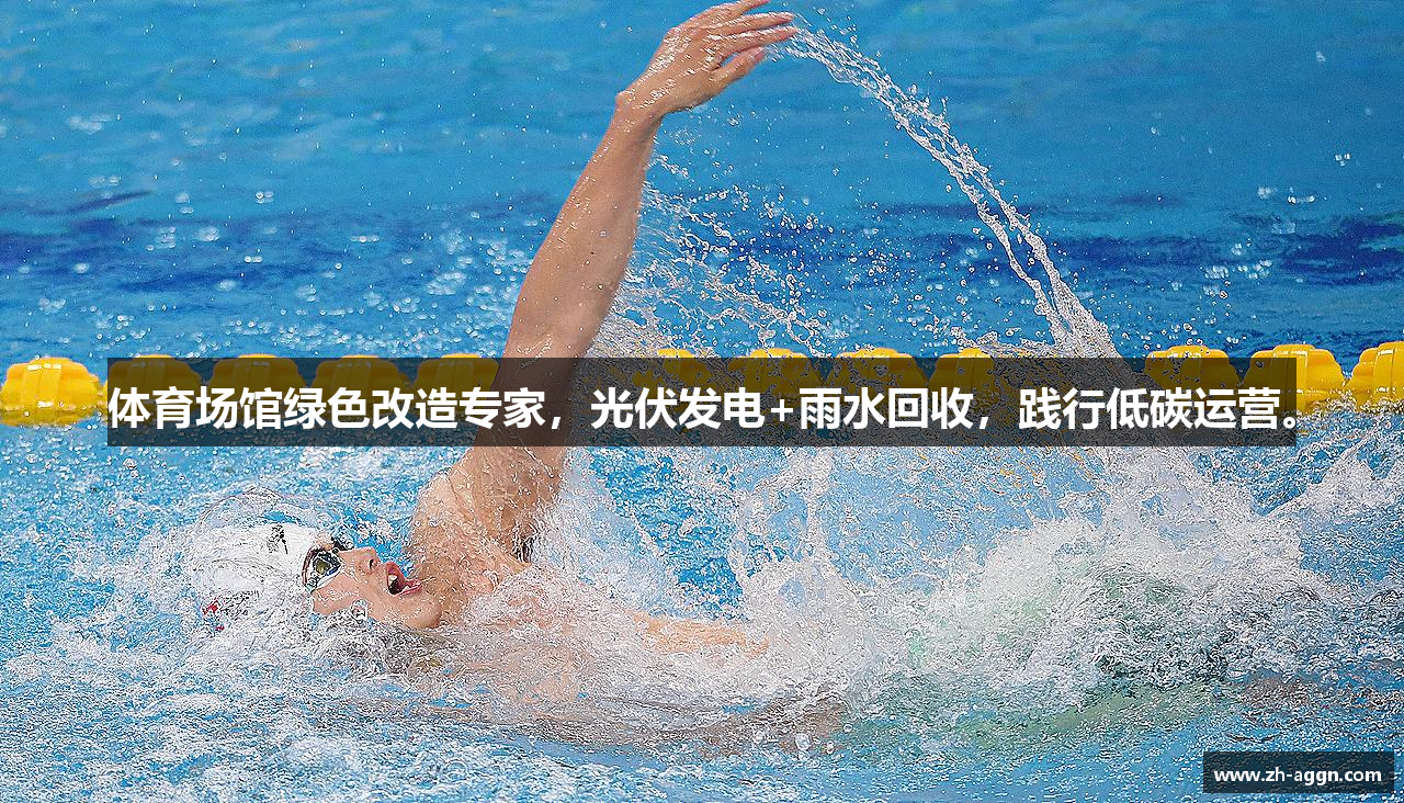体育场馆绿色改造专家，光伏发电+雨水回收，践行低碳运营。
